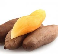 探索天山雪莲果的健康功效：清火降压、增强免疫、调血糖