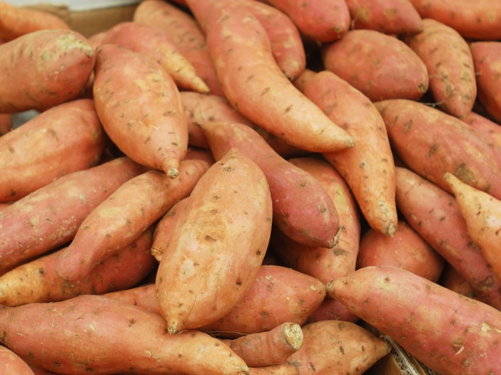 红薯发芽了能吃吗？了解发芽红薯的安全与禁忌