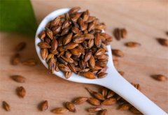 大麦茶的减肥魔力：专业解读为何成为理想饮品