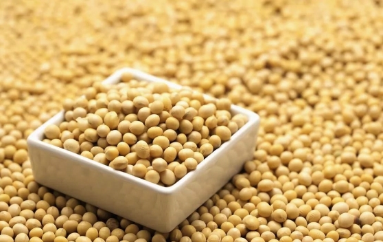 大豆异黄酮：女性养颜护健康的神奇之物