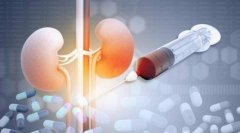 肾病综合症的治疗：医学技术的力量与中西医结合的新路径