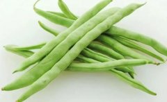 四季豆：不仅美味，更是身体的保健小帮手