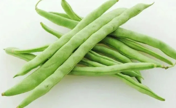 四季豆：不仅美味，更是身体的保健小帮手