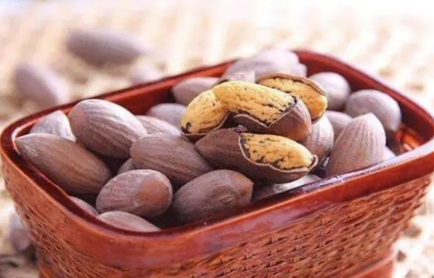 香榧子的全方位营养功效揭秘