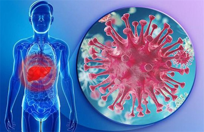 乙肝病毒携带者发病症状揭秘：你了解吗？