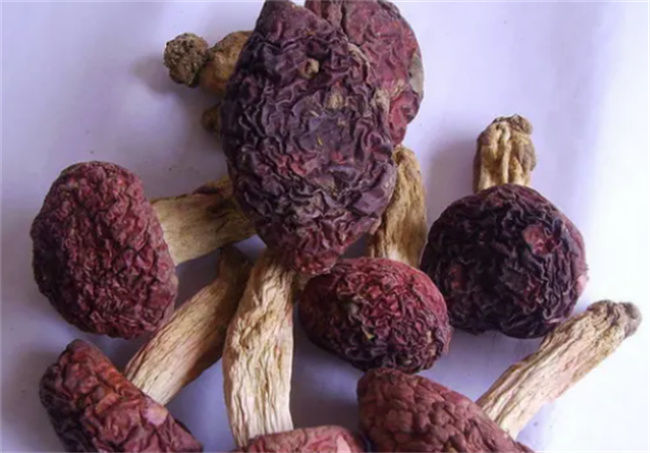 红菇祛水肿，孕期美肌秘诀曝光