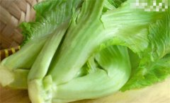 芥菜的种植与选购技巧：探秘中国特产，品味鲜美蔬菜的诀窍