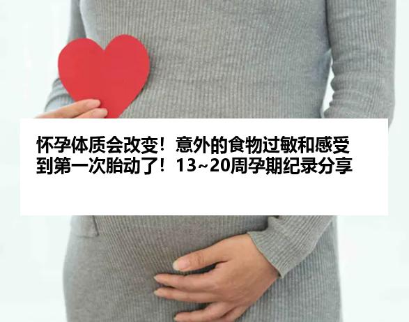 怀孕体质会改变！意外的食物过敏和感受到第一次胎动了！13~20周孕期纪录分享