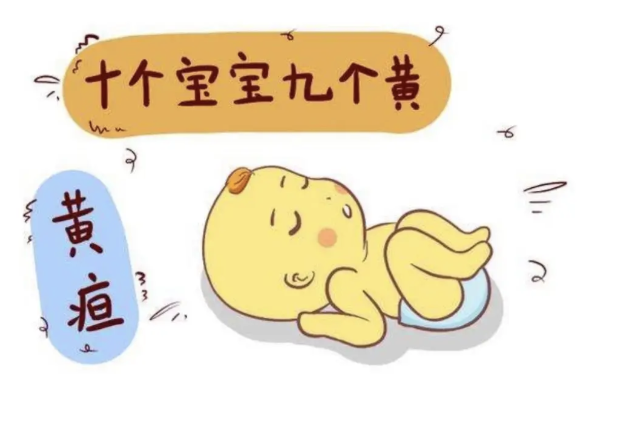 新生儿黄疸让新手爸妈慌了手脚！专家提醒，黄疸辨识方法、可能疾病、治疗怎么做
