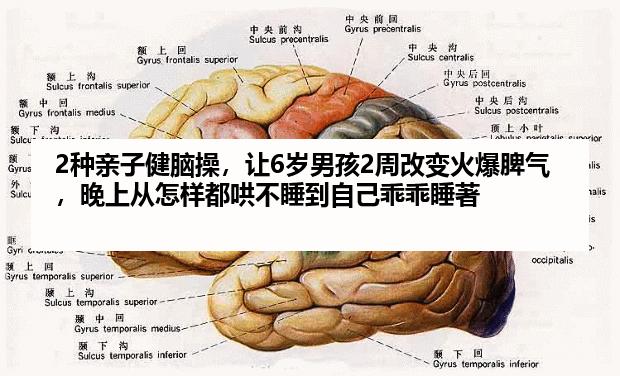2种亲子健脑操，让6岁男孩2周改变火爆脾气，晚上从怎样都哄不睡到自己乖乖睡著