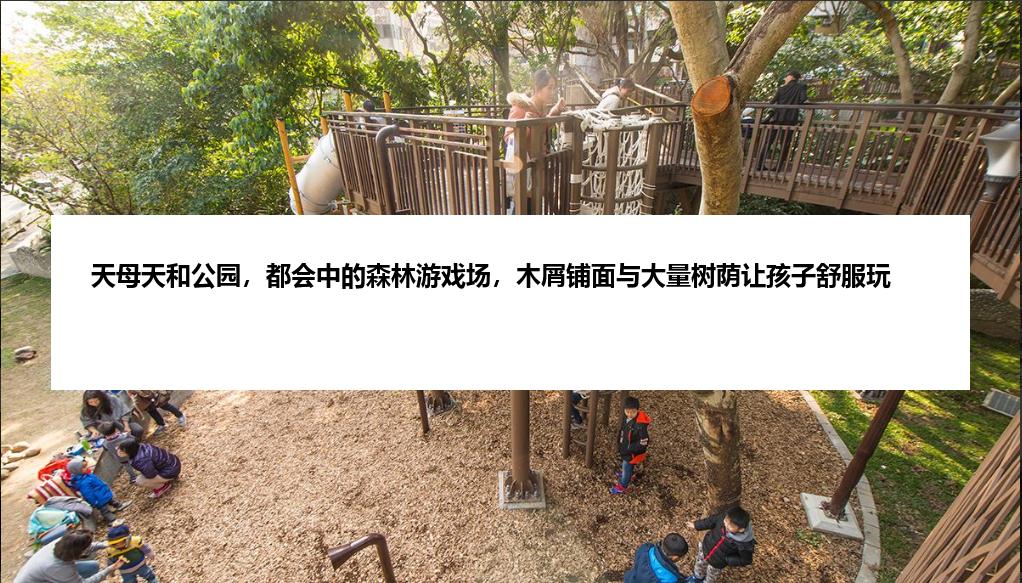 天母天和公园，都会中的森林游戏场，木屑铺面与大量树荫让孩子舒服玩