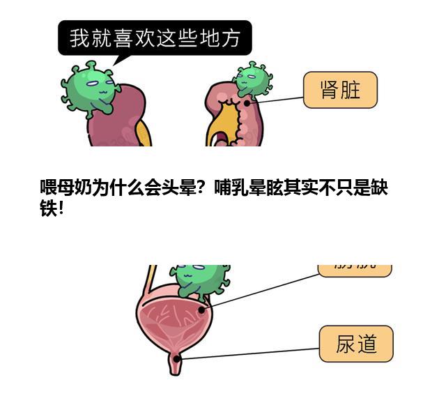 喂母奶为什么会头晕？哺乳晕眩其实不只是缺铁！