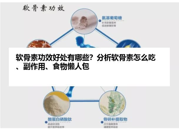 软骨素功效好处有哪些？分析软骨素怎么吃、副作用、食物懒人包