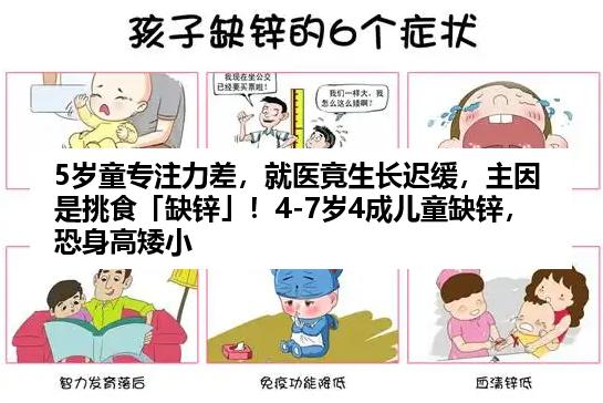 5岁童专注力差，就医竟生长迟缓，主因是挑食「缺锌」！4-7岁4成儿童缺锌，恐身高矮小