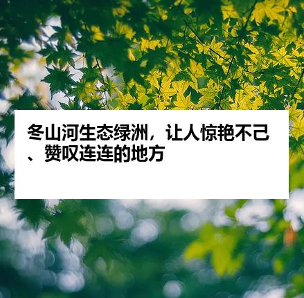 冬山河生态绿洲，让人惊艳不己、赞叹连连的地方