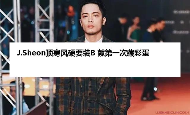 J.Sheon顶寒风硬要装B 献第一次藏彩蛋
