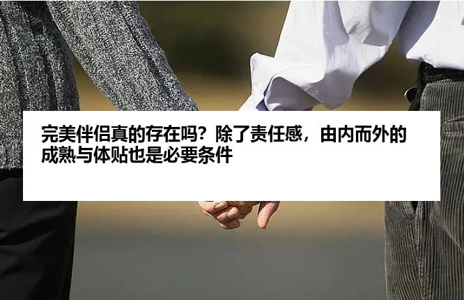 完美伴侣真的存在吗?除了责任感,由内而外的成熟与体贴也是必要条件