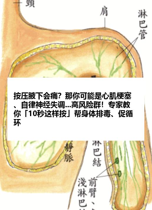按压腋下会痛？那你可能是心肌梗塞、自律神经失调...高风险群！专家教你「10秒这样按」帮身体排毒、促循环