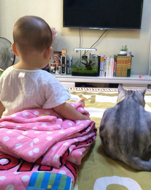 宝宝跟毛孩的第一次相处