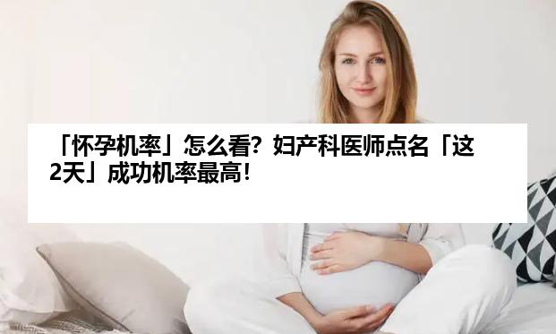 「怀孕机率」怎么看？妇产科医师点名「这2天」成功机率最高！