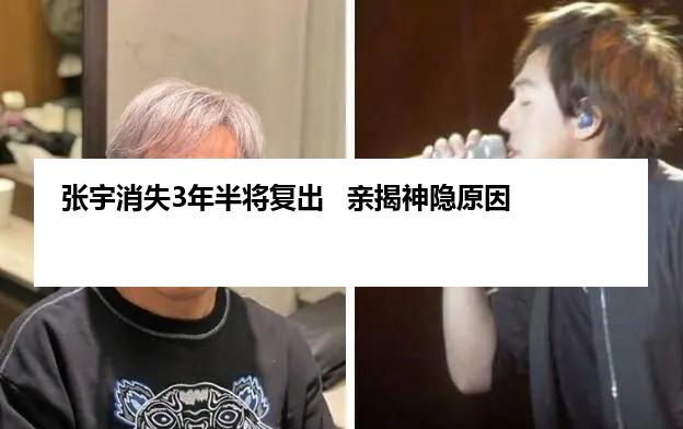 张宇消失3年半将复出   亲揭神隐原因
