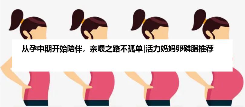 从孕中期开始陪伴，亲喂之路不孤单|活力妈妈卵磷脂推荐