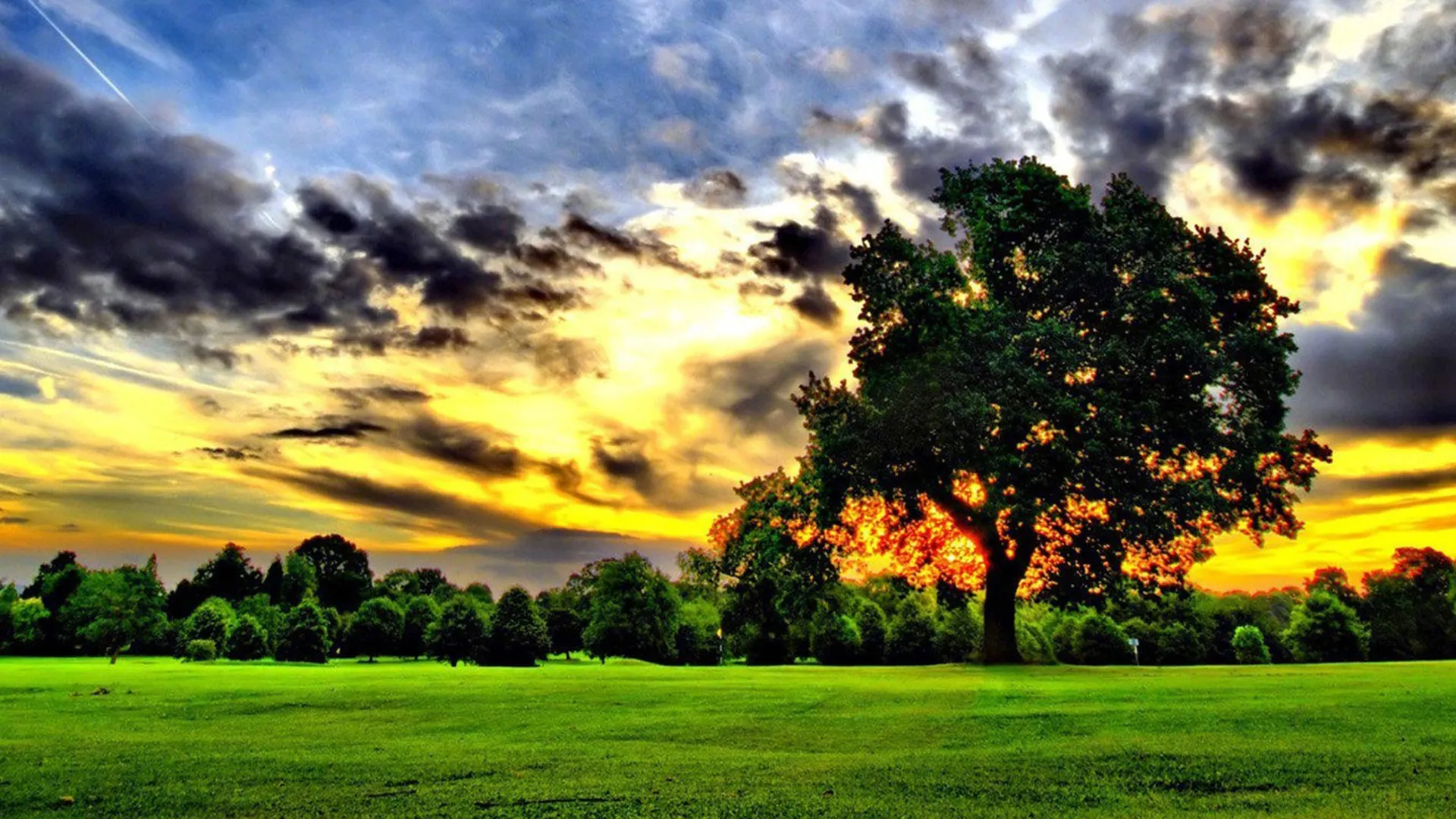 谁来救救奥斯卡？高呼声强片没票房 吸睛主持人难寻