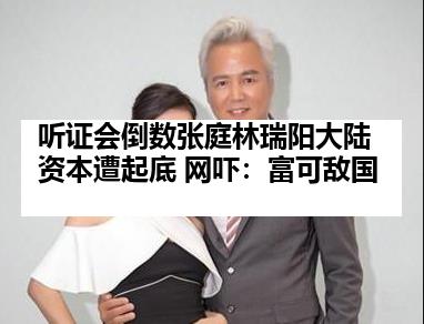 听证会倒数张庭林瑞阳大陆资本遭起底 网吓：富可敌国
