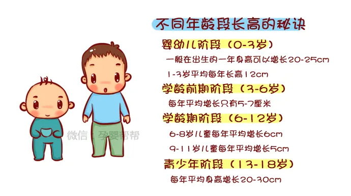 儿童长不高吃什么？营养师分享5款儿童长高食谱【 把握黄金期】