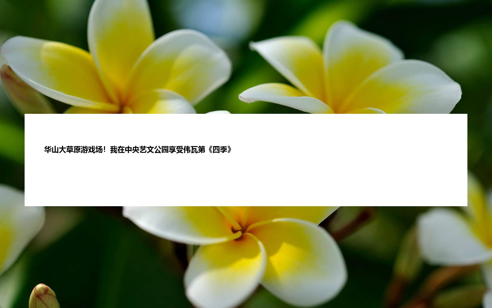 华山大草原游戏场！我在中央艺文公园享受伟瓦第《四季》