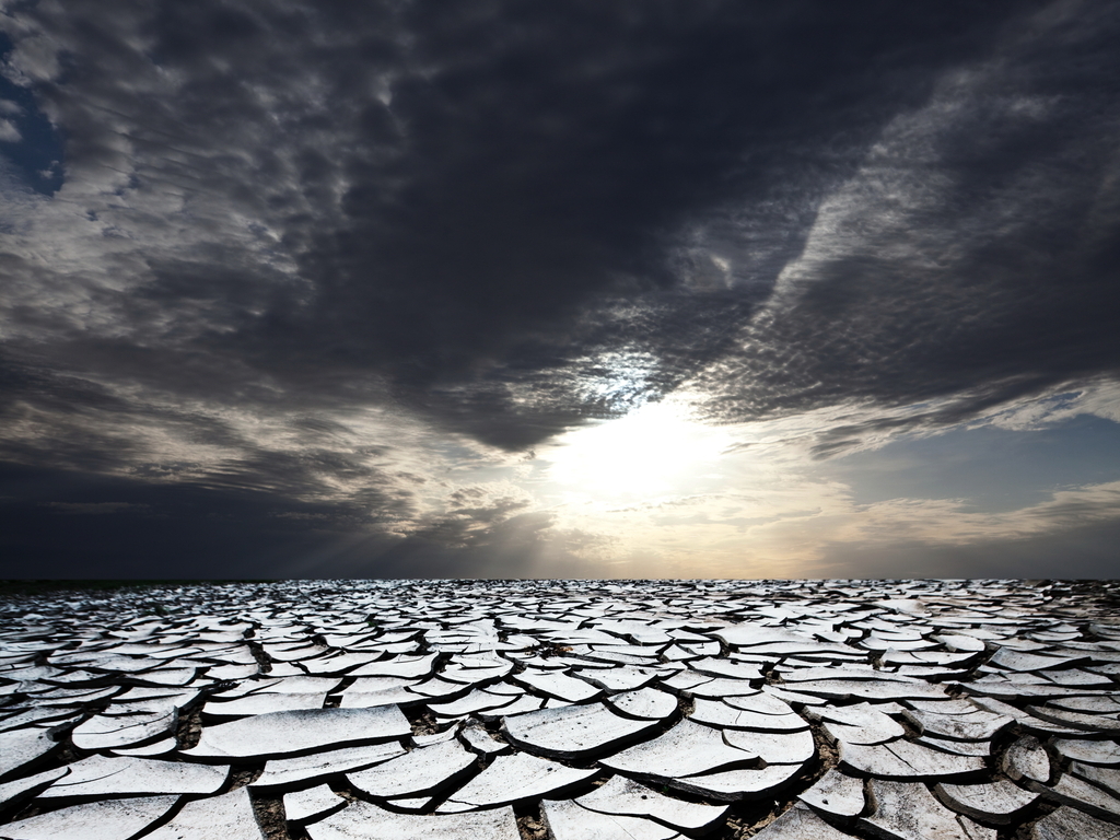 养成生活好习惯，关心卵子库存量，避免成为「少卵一族」