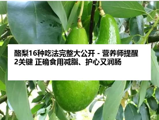 酪梨16种吃法完整大公开－营养师提醒2关键 正确食用减脂、护心又润肠