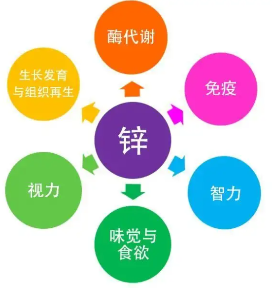5岁童专注力差，就医竟生长迟缓，主因是挑食「缺锌」！4-7岁4成儿童缺锌，恐身高矮小