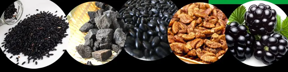 白头发可以拔吗？怎样才能变回黑发？中西医教你正确的白头发预防之道！