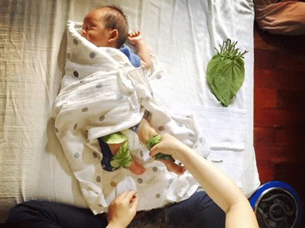 婴儿槟榔叶治疗疾病,真假?