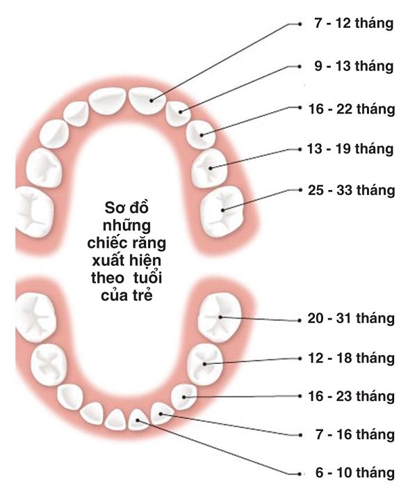 如何区分儿童出牙发烧和发烧?