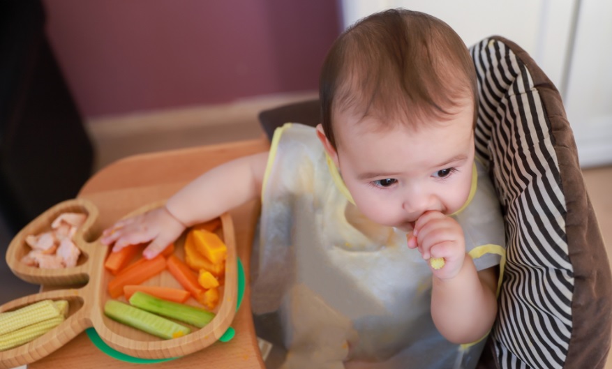 如何为宝宝做饭,用4种诱人的菜肴练习米饭