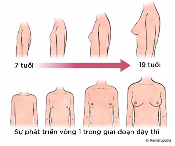 如何在青春期增加第一轮,使女孩成年后身体健康