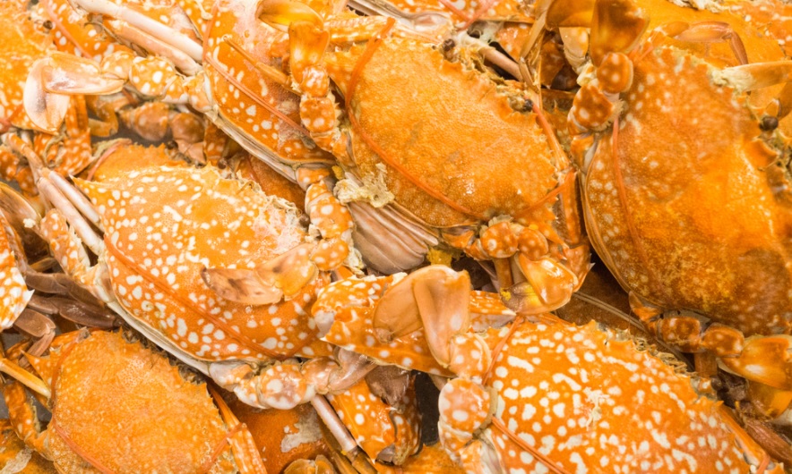 2种方法为婴儿煮螃蟹粥以补充营养