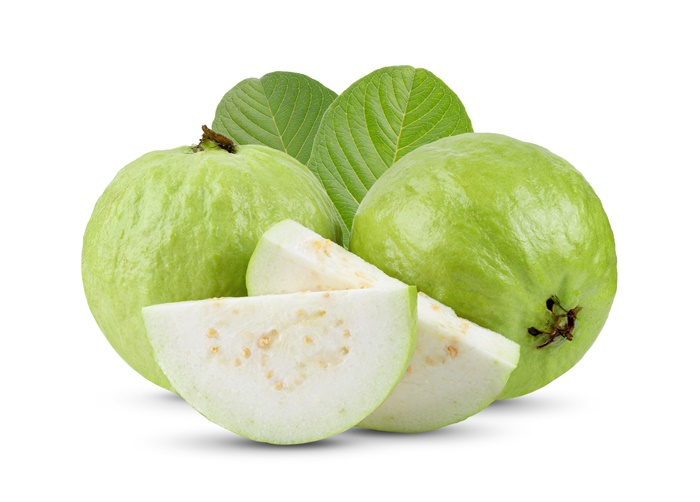 容易感冒、体弱抗体差的体质，得先从「基底养身」著手