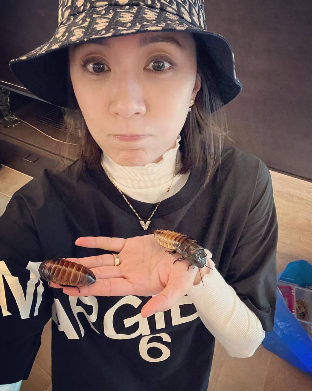 咘咘、波妞又想带生物回家修杰楷帮贾静雯顾蛙被喷尿