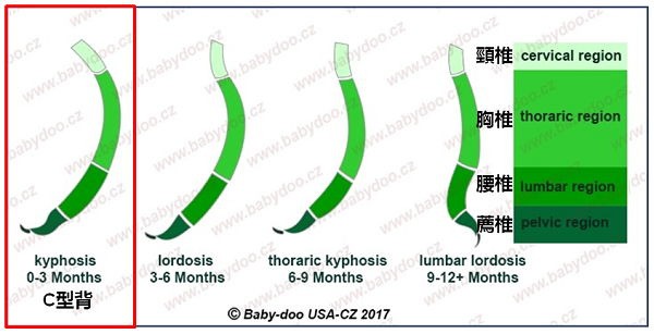 揹巾的方便成为近期新手爸妈们的青睐，却也担心会影响宝宝的脊柱发展吗？