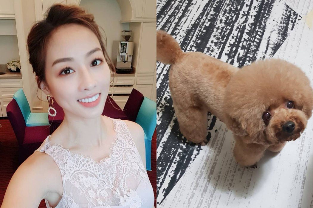 理智线断掉!女神夏语心爱犬遭陌生童踢「1举动」反击