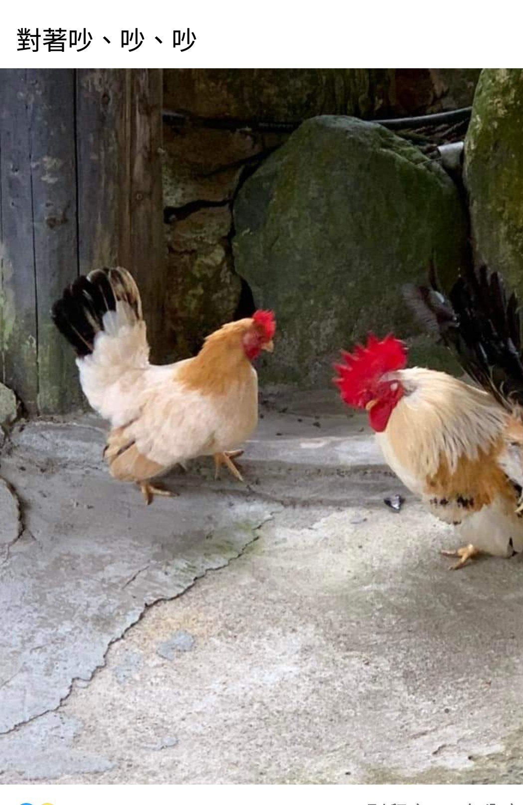 S妈二度发文隔空怒呛「别来抢我女儿」