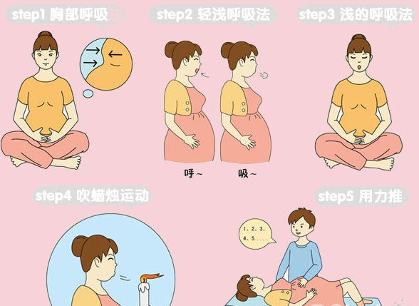 自然分娩过程及详细步骤