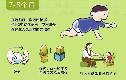 开始爬行、发出的声音增多,理解成人语言的能力增强