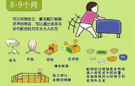 可以扶物站立、喜欢敲打能够发出声音的物品,手部动作更加灵活