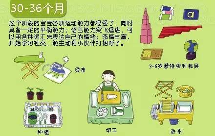 这个阶段的孩子可以独立做切、洗、种植等工作;可以用各种词汇来表达自己的情绪;开始主动和小伙伴们打招呼了。