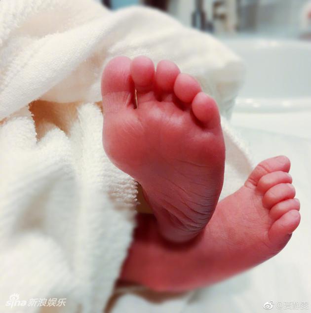 贾静雯第三胎仍怀女,高龄产妇生女无压力，怎么生女孩几率大？