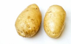 防止胎儿畸形 5种食物碰不得